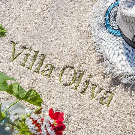 Oliva With Private Pool By Konnect